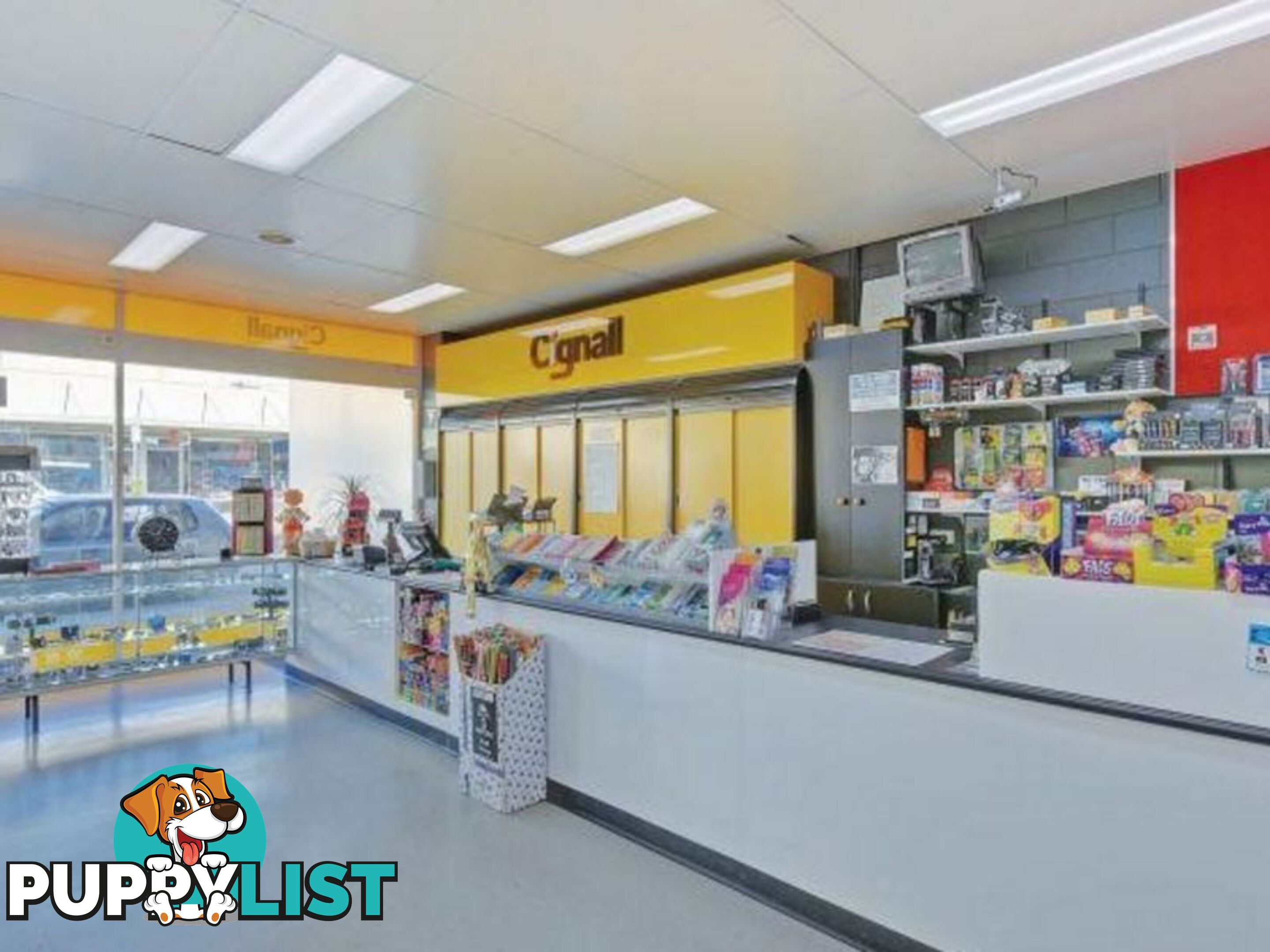 19B Goldie Street WYNYARD TAS 7325