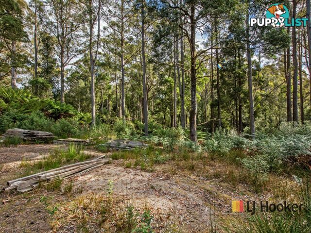 00 Deep Creek Road MOUNT HICKS TAS 7325