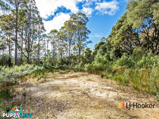 00 Deep Creek Road MOUNT HICKS TAS 7325