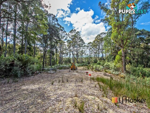 00 Deep Creek Road MOUNT HICKS TAS 7325