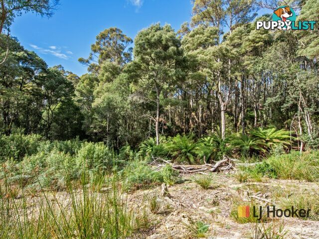 00 Deep Creek Road MOUNT HICKS TAS 7325