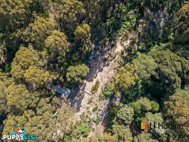 00 Deep Creek Road MOUNT HICKS TAS 7325