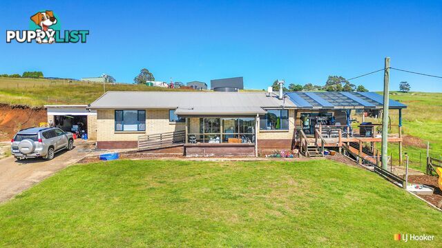 19 Tippetts Road MOUNT HICKS TAS 7325