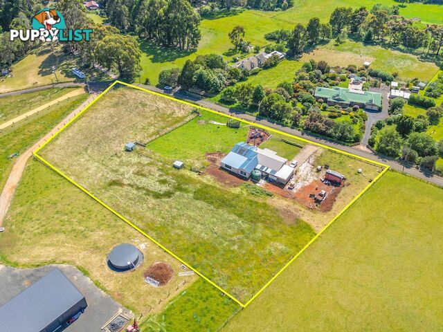 19 Tippetts Road MOUNT HICKS TAS 7325