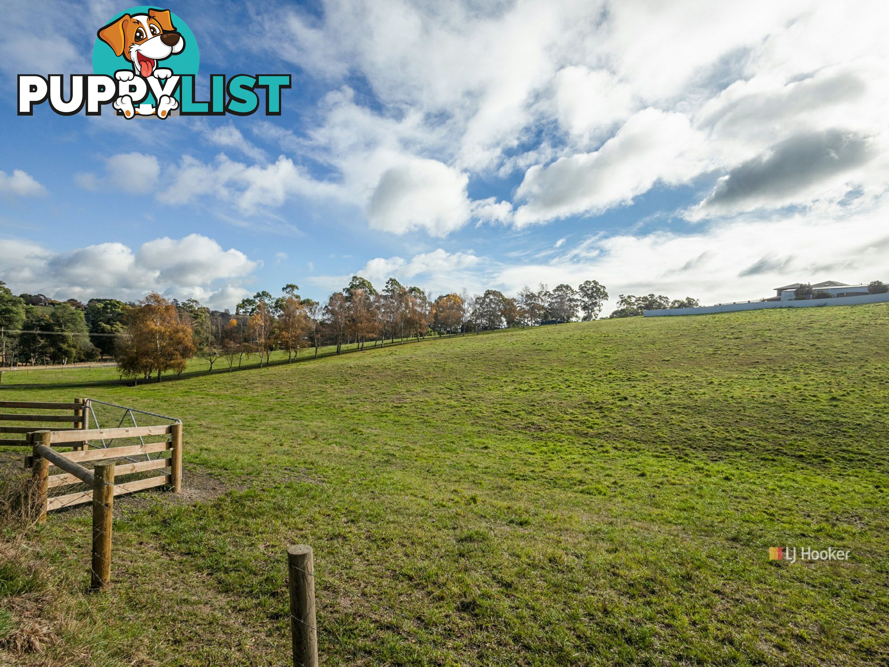Lot 2/3 Aldersons Road WYNYARD TAS 7325