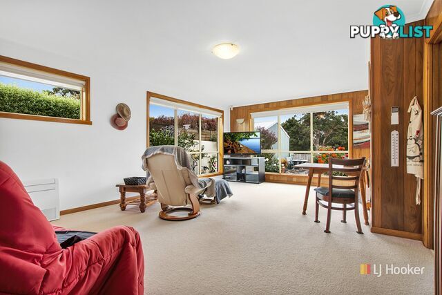 34 Belton Street WYNYARD TAS 7325