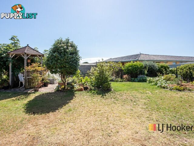 7 Walker Street WYNYARD TAS 7325