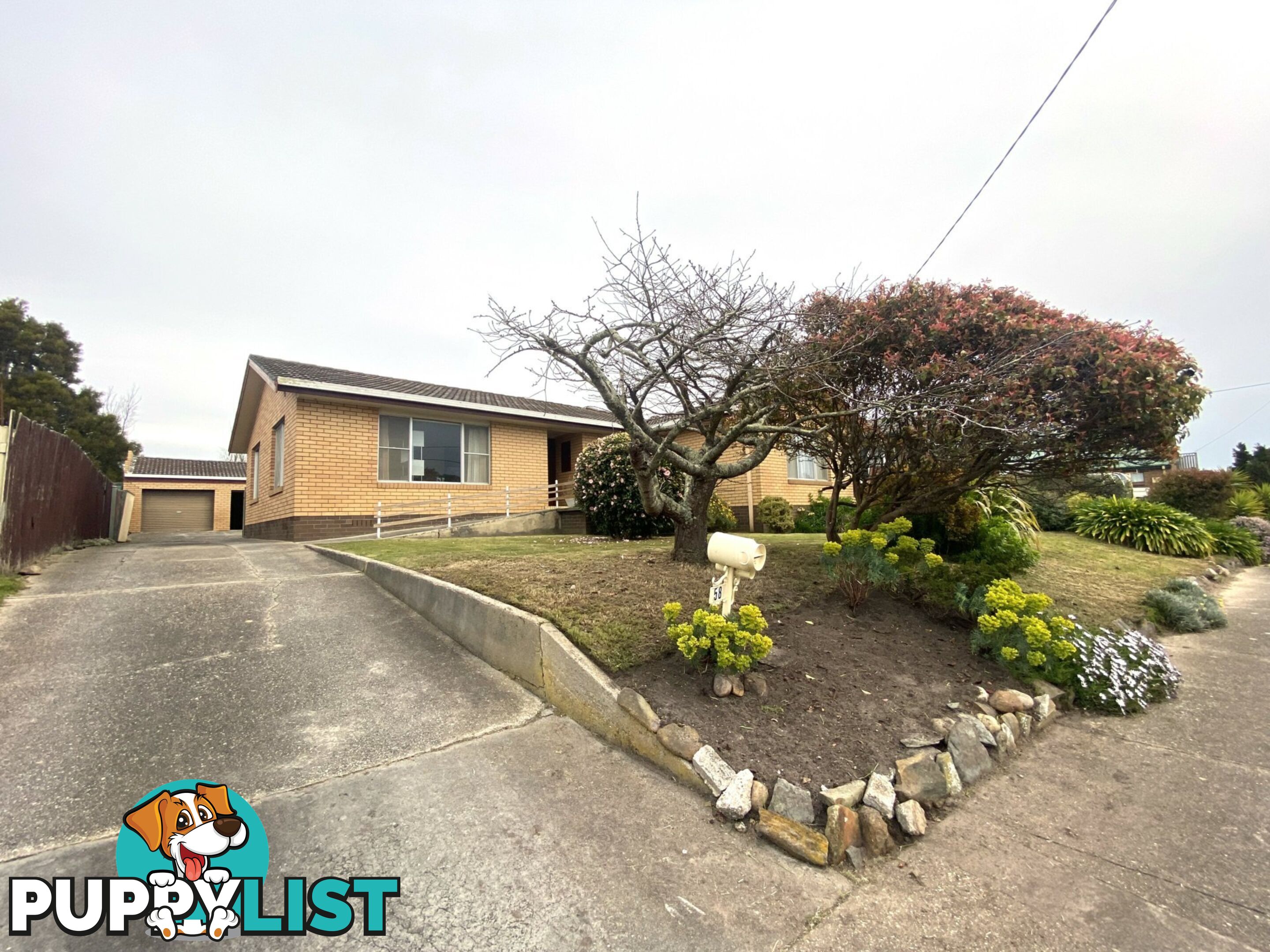 58 Walker Street WYNYARD TAS 7325