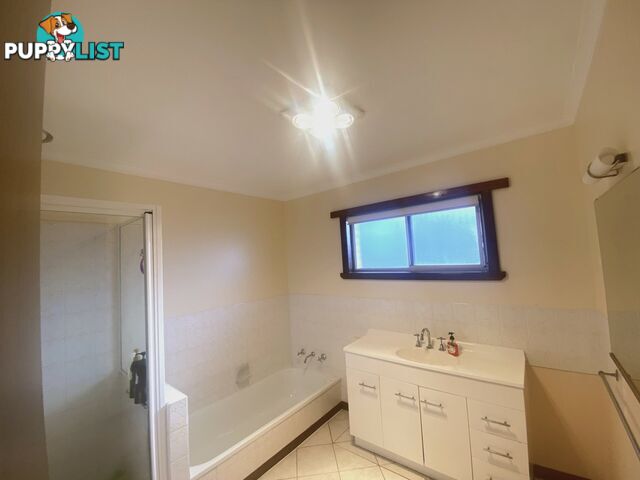 58 Walker Street WYNYARD TAS 7325