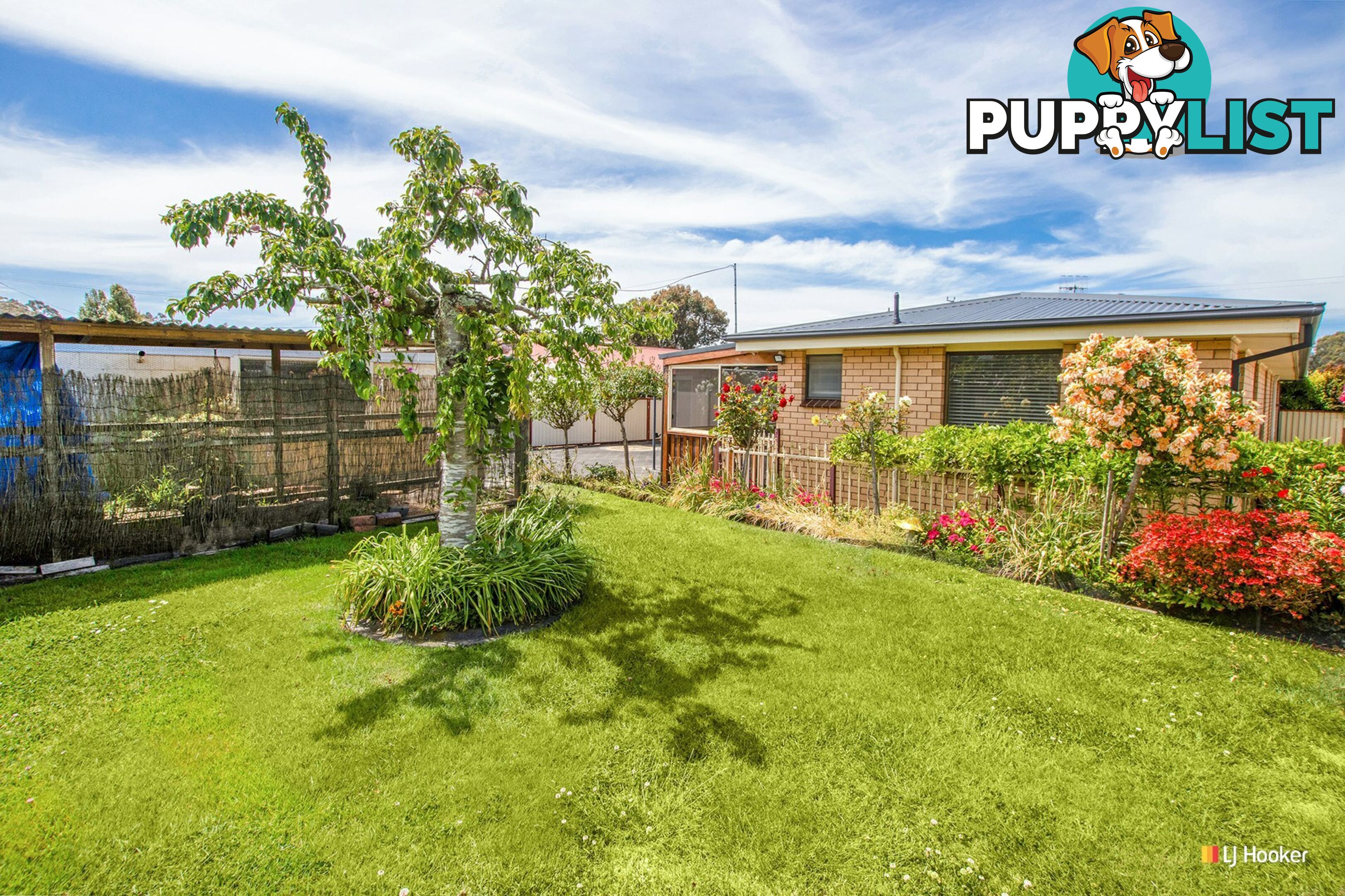 60 Hales Street WYNYARD TAS 7325