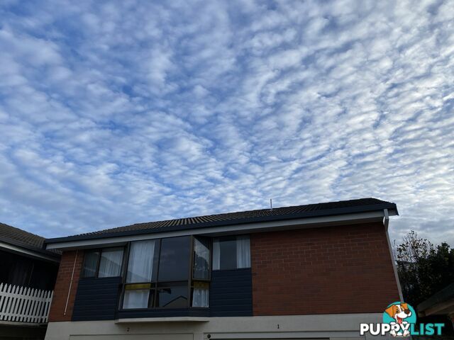 Unit 3/22 Goldie Street WYNYARD TAS 7325