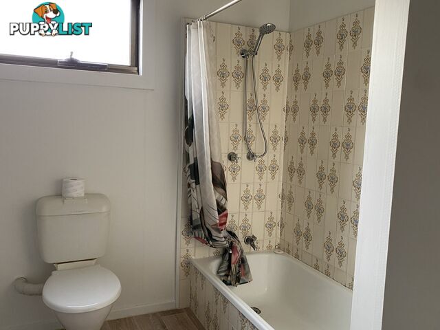 Unit 3/22 Goldie Street WYNYARD TAS 7325