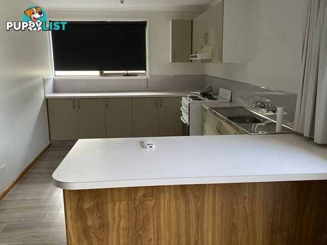 Unit 3/22 Goldie Street WYNYARD TAS 7325