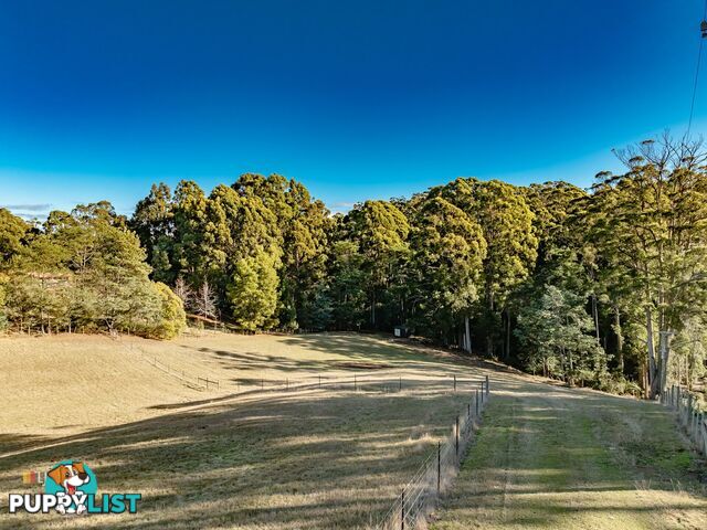 Lot 2/340 Back Cam Road SOMERSET TAS 7322