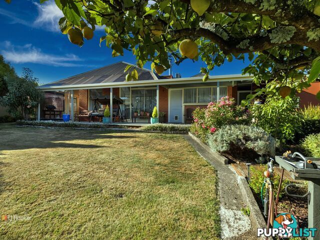 98 Inglis Street WYNYARD TAS 7325