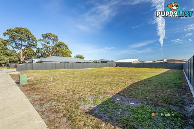 10 Millpond Court WYNYARD TAS 7325