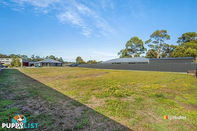 10 Millpond Court WYNYARD TAS 7325