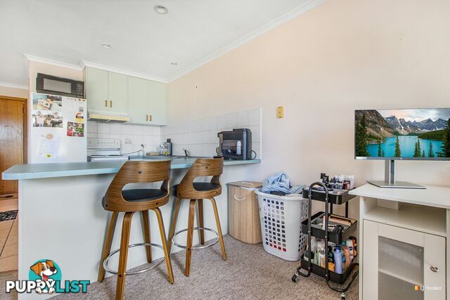 Unit 1 & 2/6 John Street WYNYARD TAS 7325