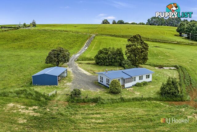 1129 Mount Hicks Road MOUNT HICKS TAS 7325