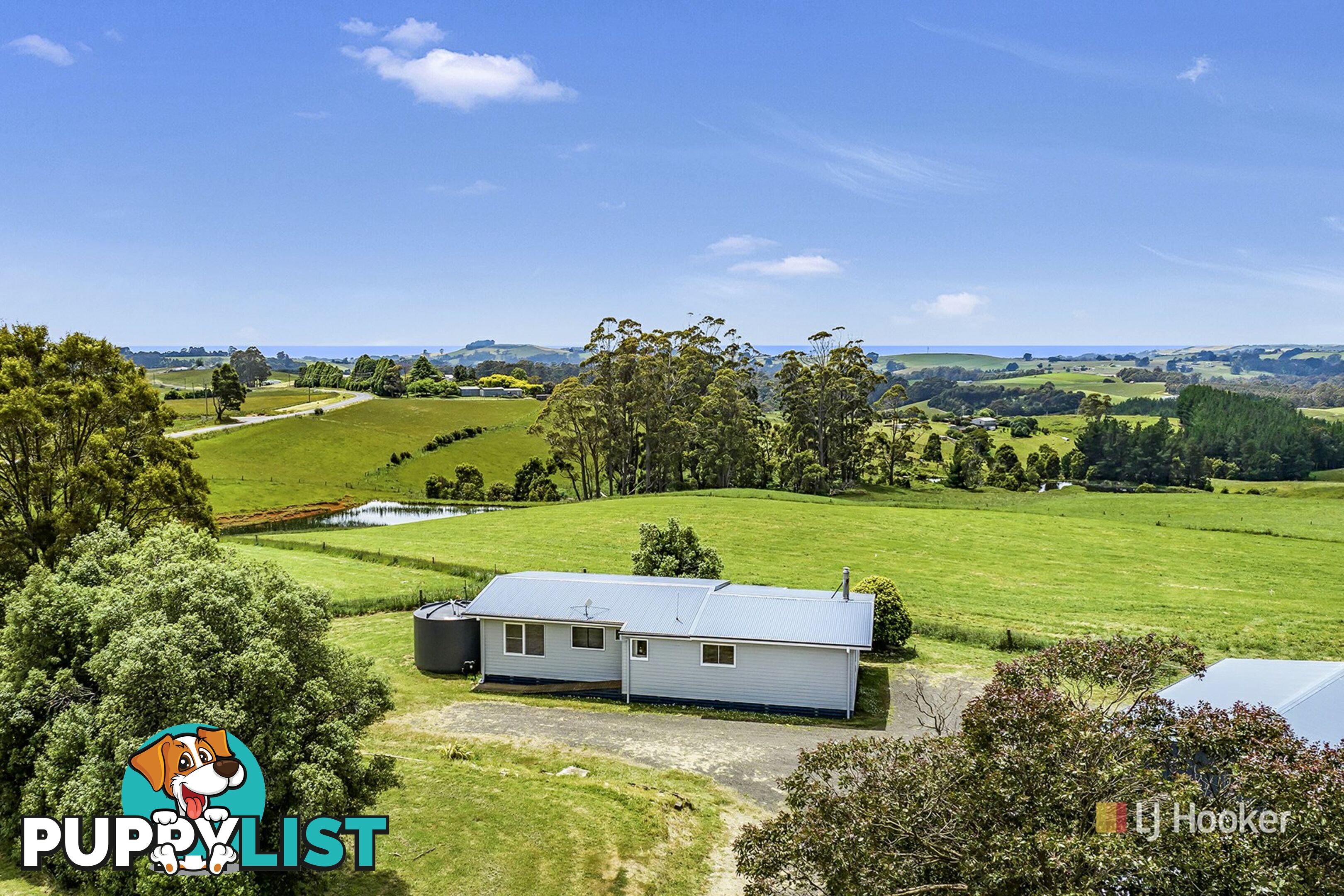 1129 Mount Hicks Road MOUNT HICKS TAS 7325