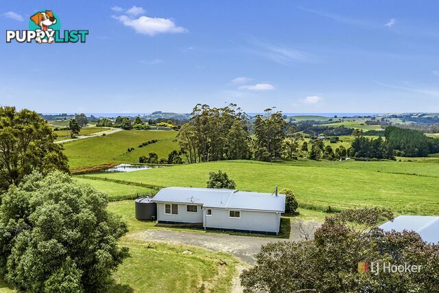 1129 Mount Hicks Road MOUNT HICKS TAS 7325