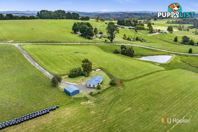 1129 Mount Hicks Road MOUNT HICKS TAS 7325