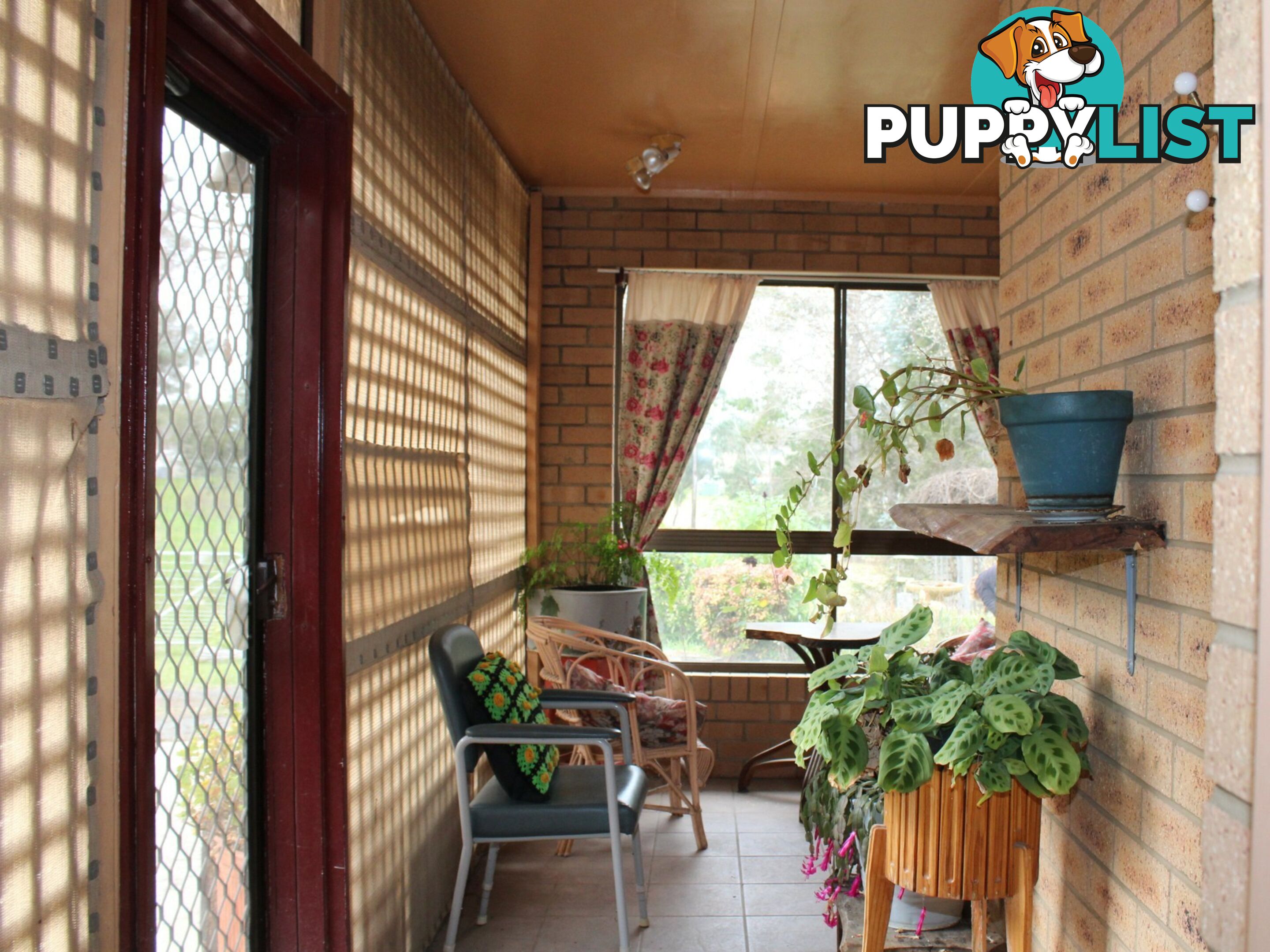 12 Hawkins Lane GLENCOE NSW 2365