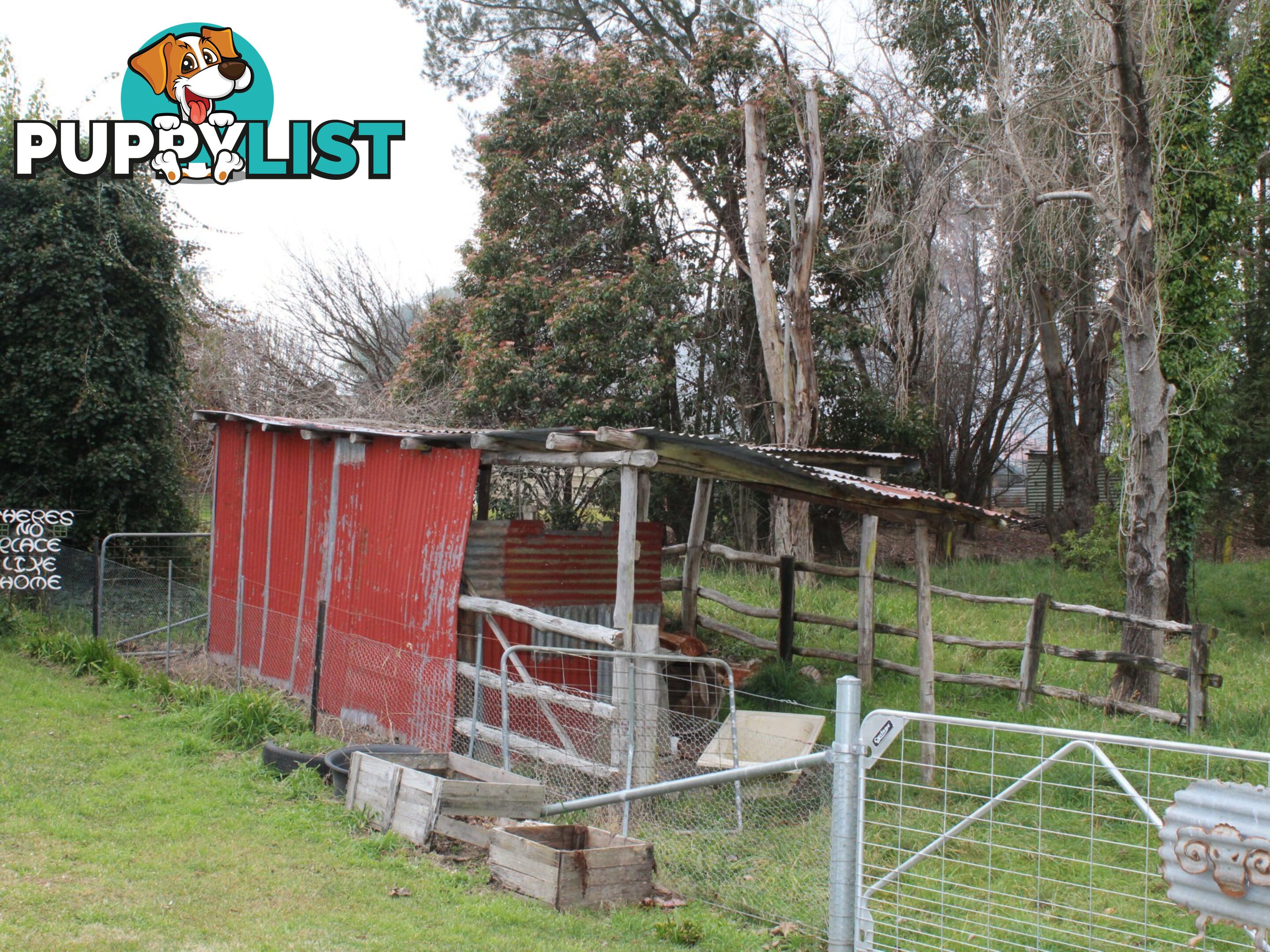 12 Hawkins Lane GLENCOE NSW 2365