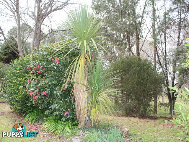 12 Hawkins Lane GLENCOE NSW 2365