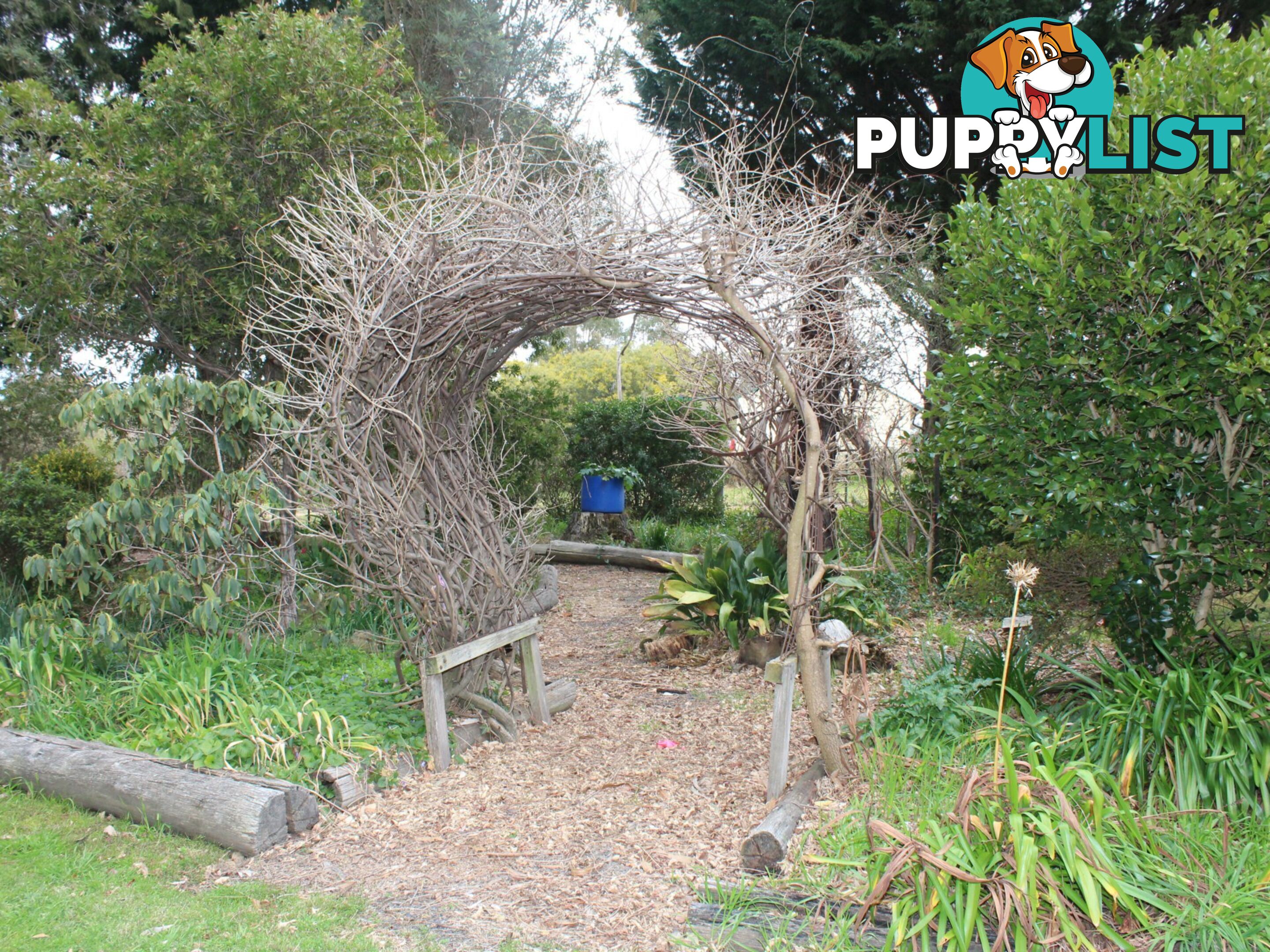 12 Hawkins Lane GLENCOE NSW 2365