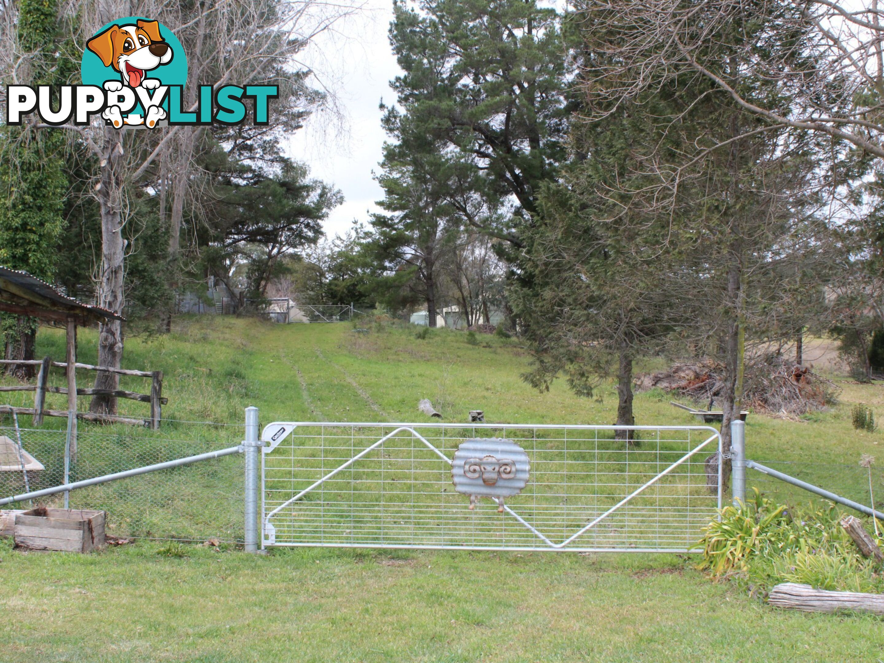 12 Hawkins Lane GLENCOE NSW 2365