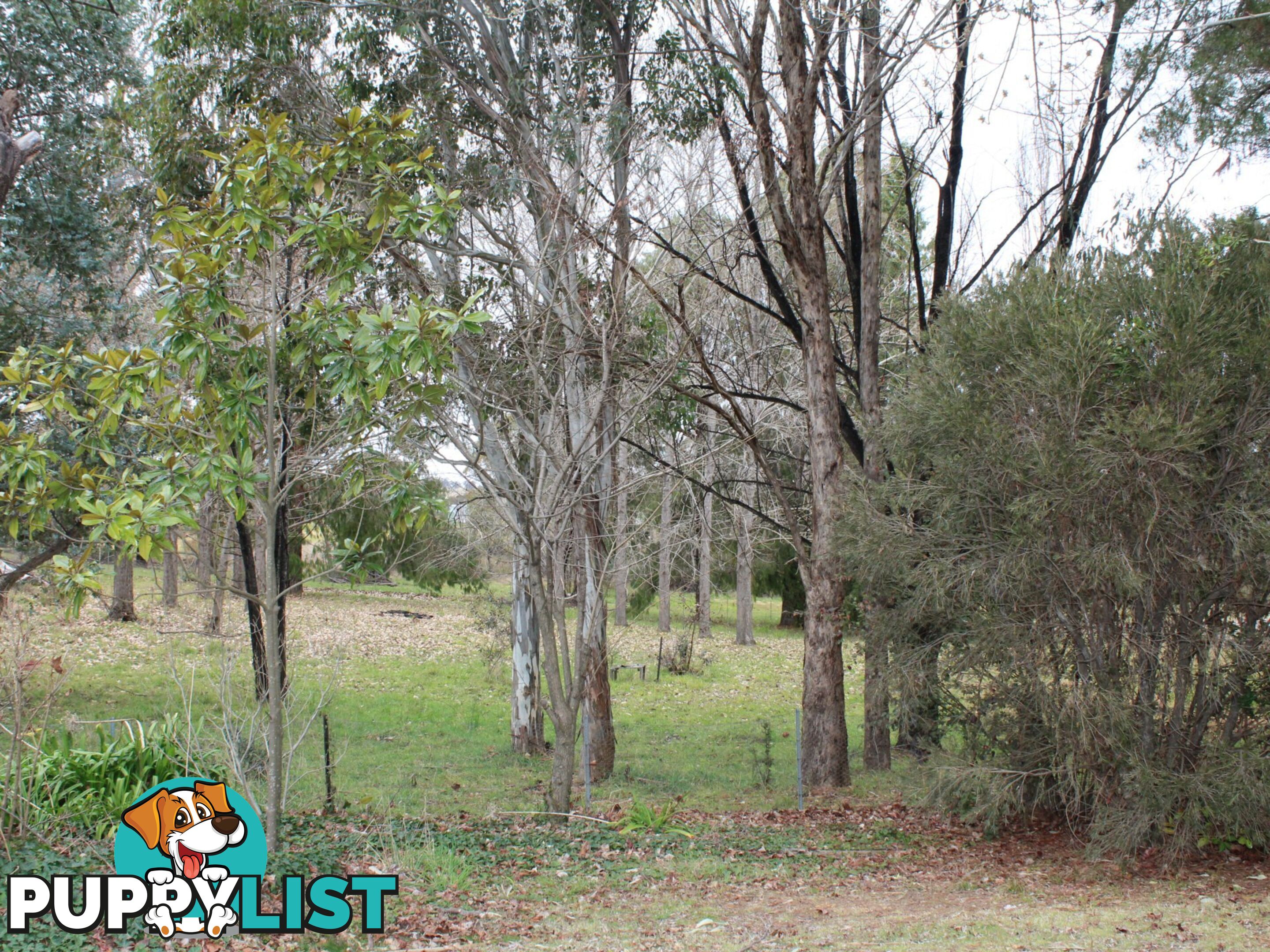 12 Hawkins Lane GLENCOE NSW 2365