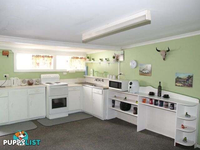 7 O'Donnell Street EMMAVILLE NSW 2371