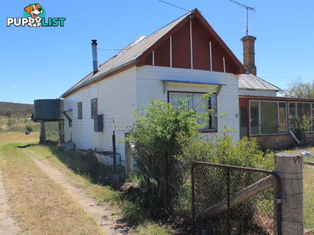 16 Irby Street EMMAVILLE NSW 2371