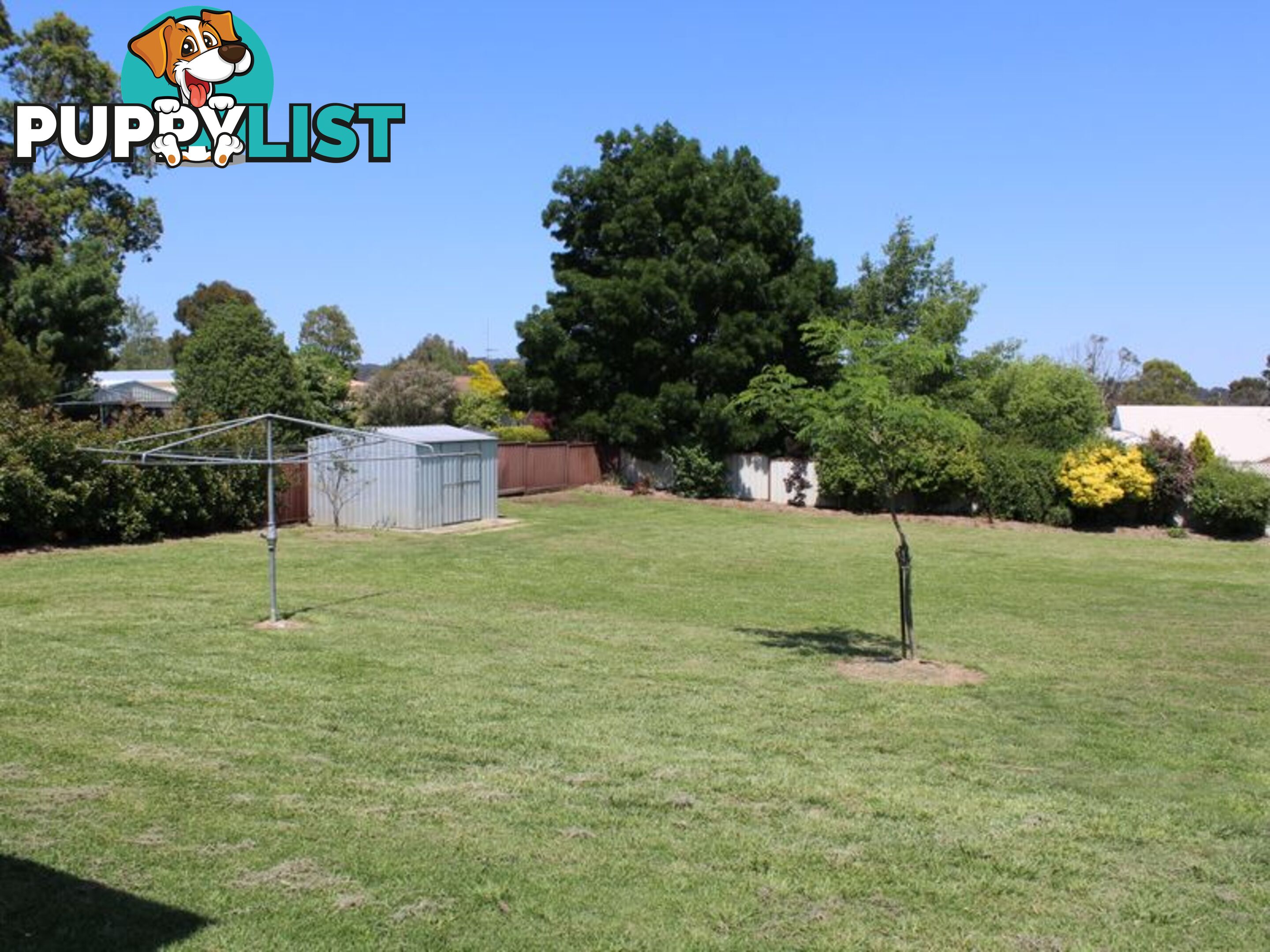 14 Cramsie Crescent GLEN INNES NSW 2370