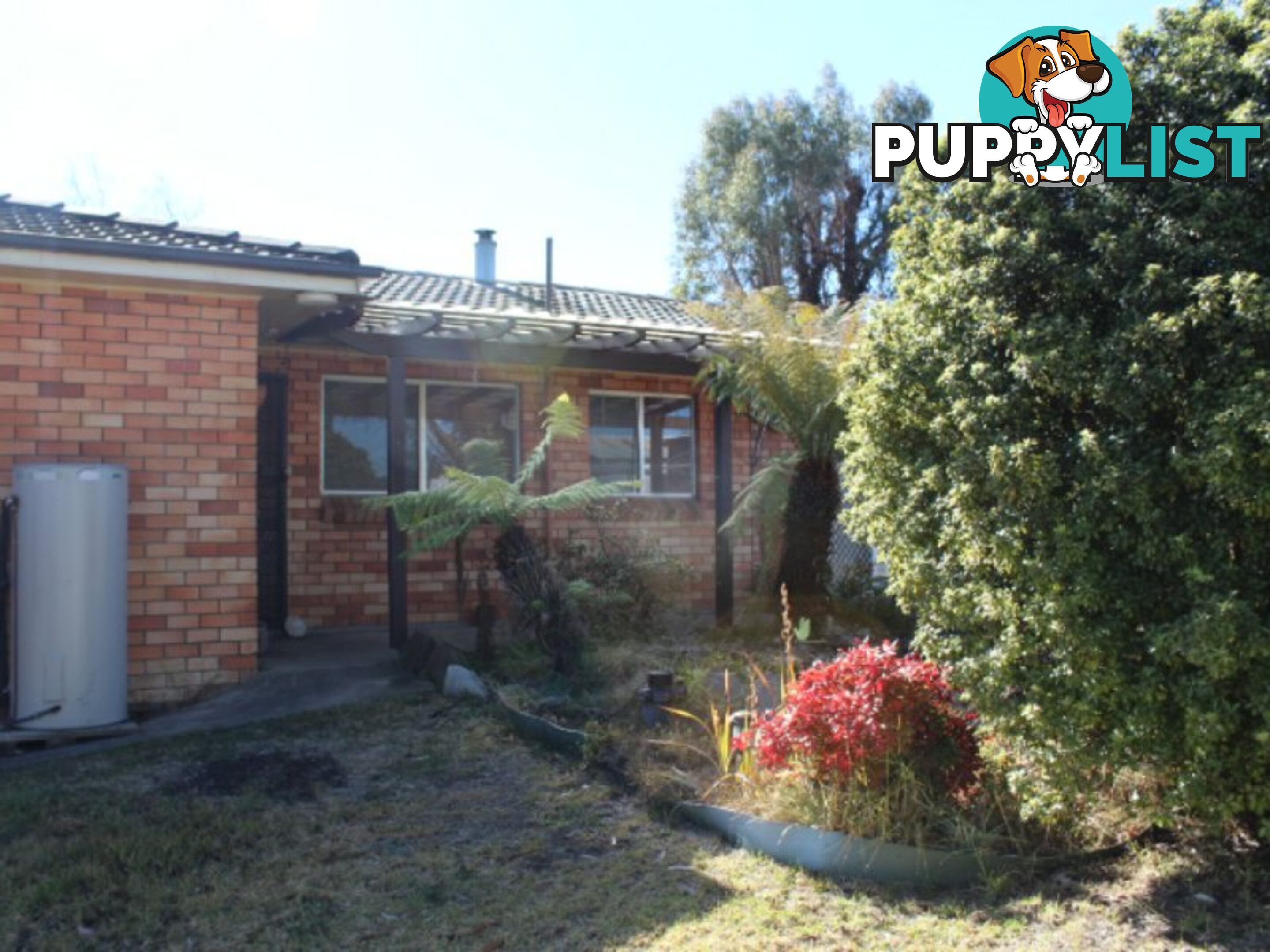 21 Cross Street GLEN INNES NSW 2370