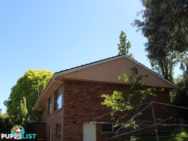 213 Bourke Street GLEN INNES NSW 2370