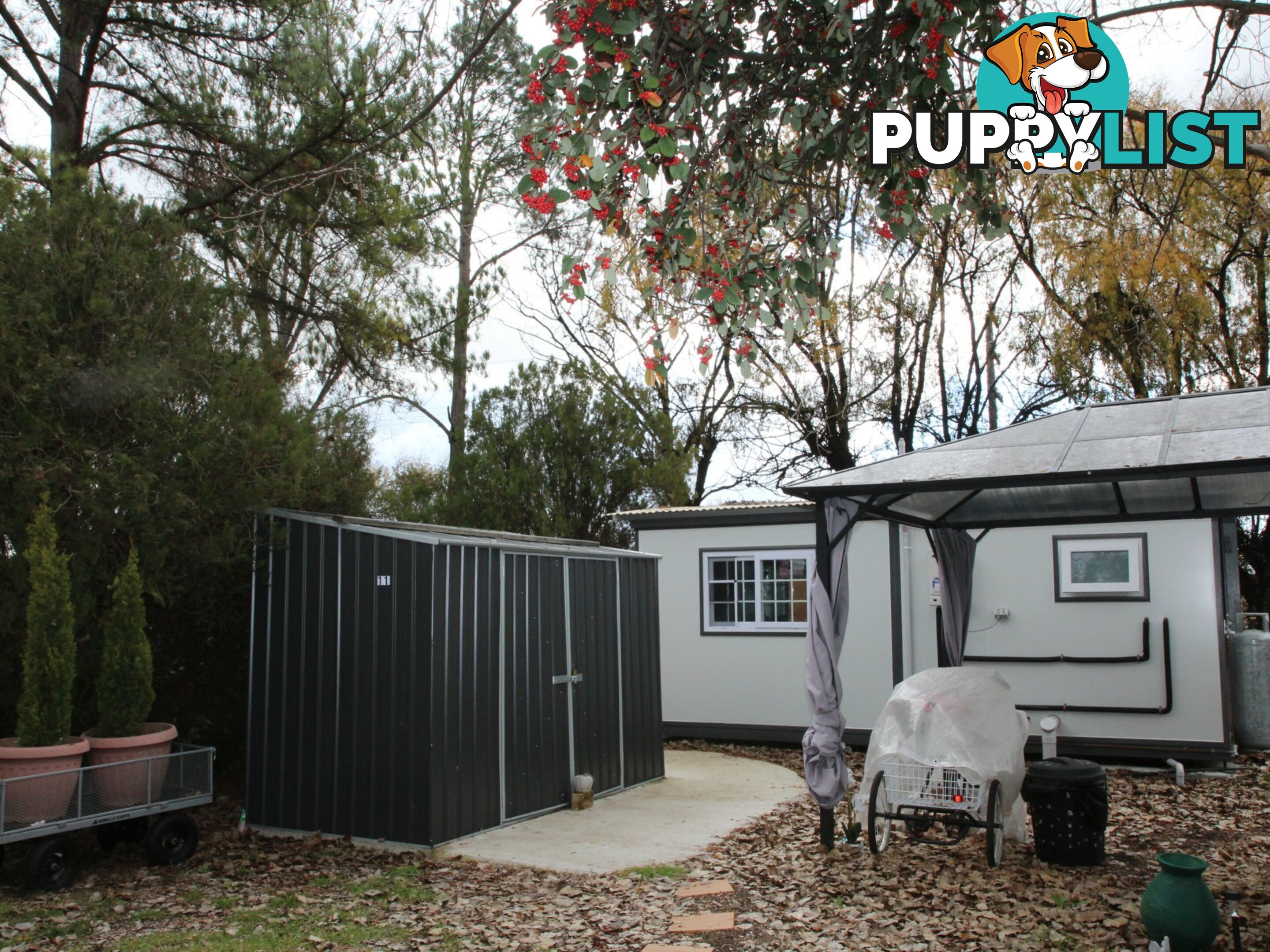 11/209 Grafton Street GLEN INNES NSW 2370