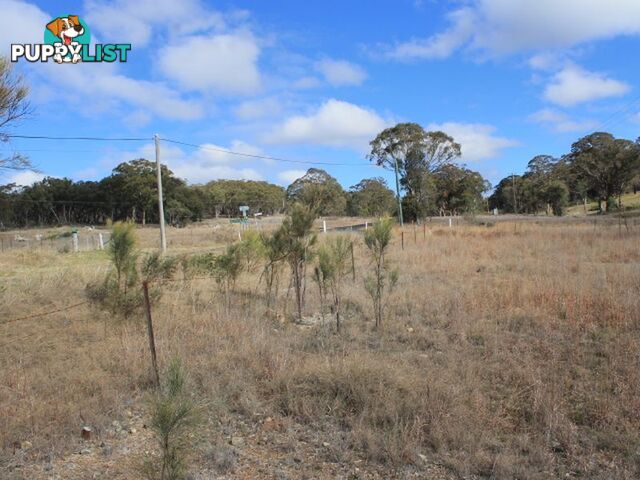 Lots 113-1 Wellingtonvale Road TENT HILL NSW 2371