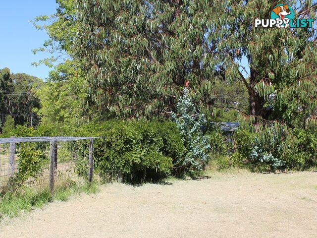 2 Silent Grove Road TORRINGTON NSW 2371