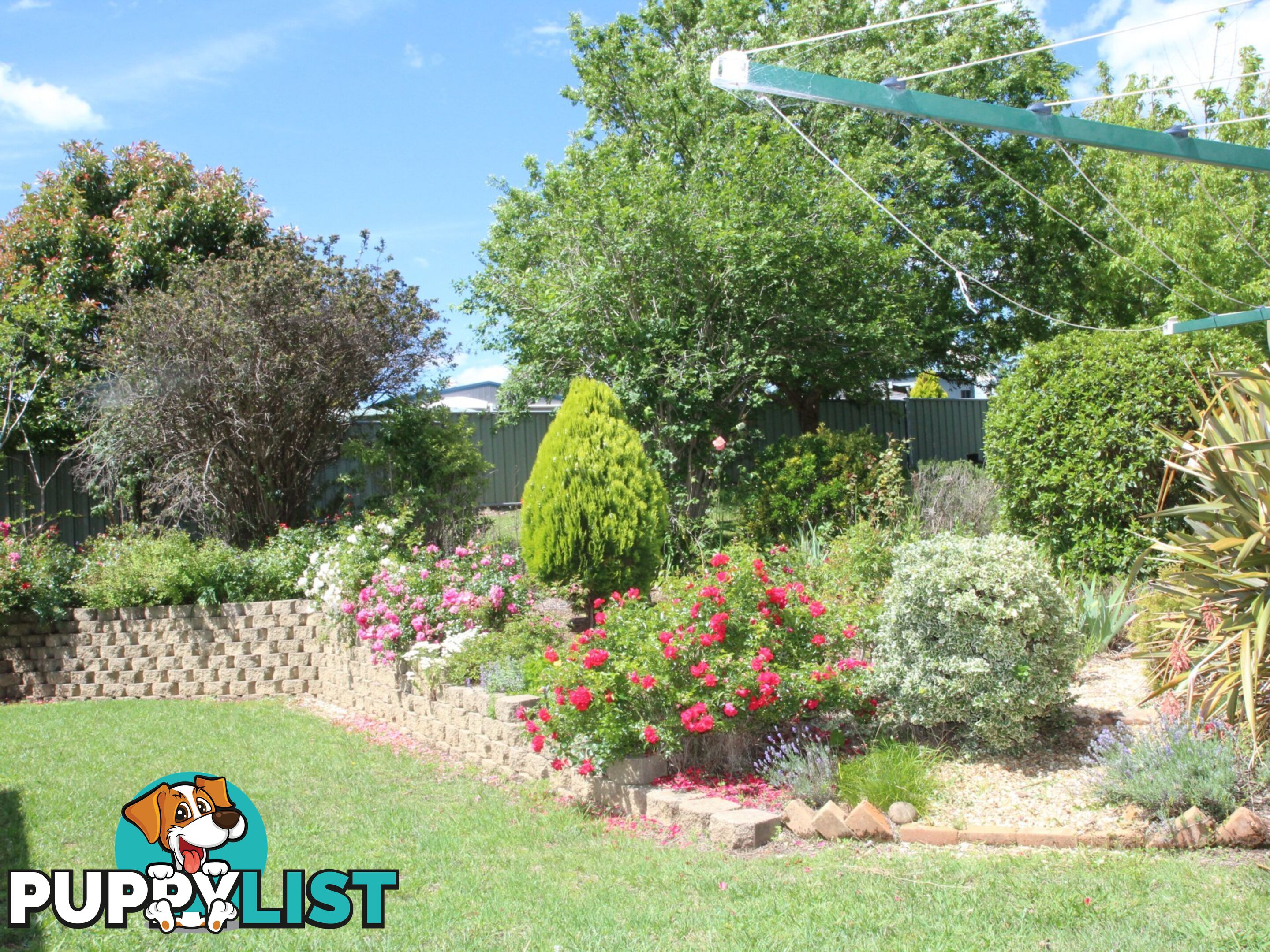 1 Cramsie Crescent GLEN INNES NSW 2370