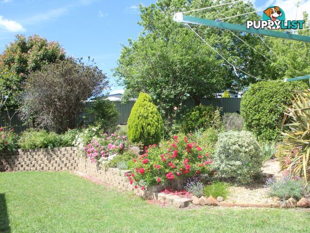 1 Cramsie Crescent GLEN INNES NSW 2370