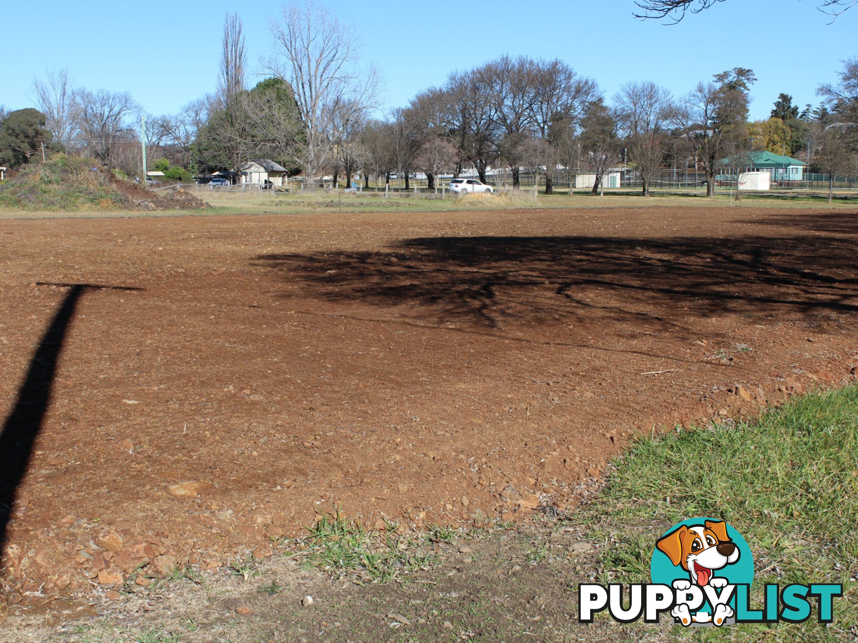 89 East Avenue GLEN INNES NSW 2370