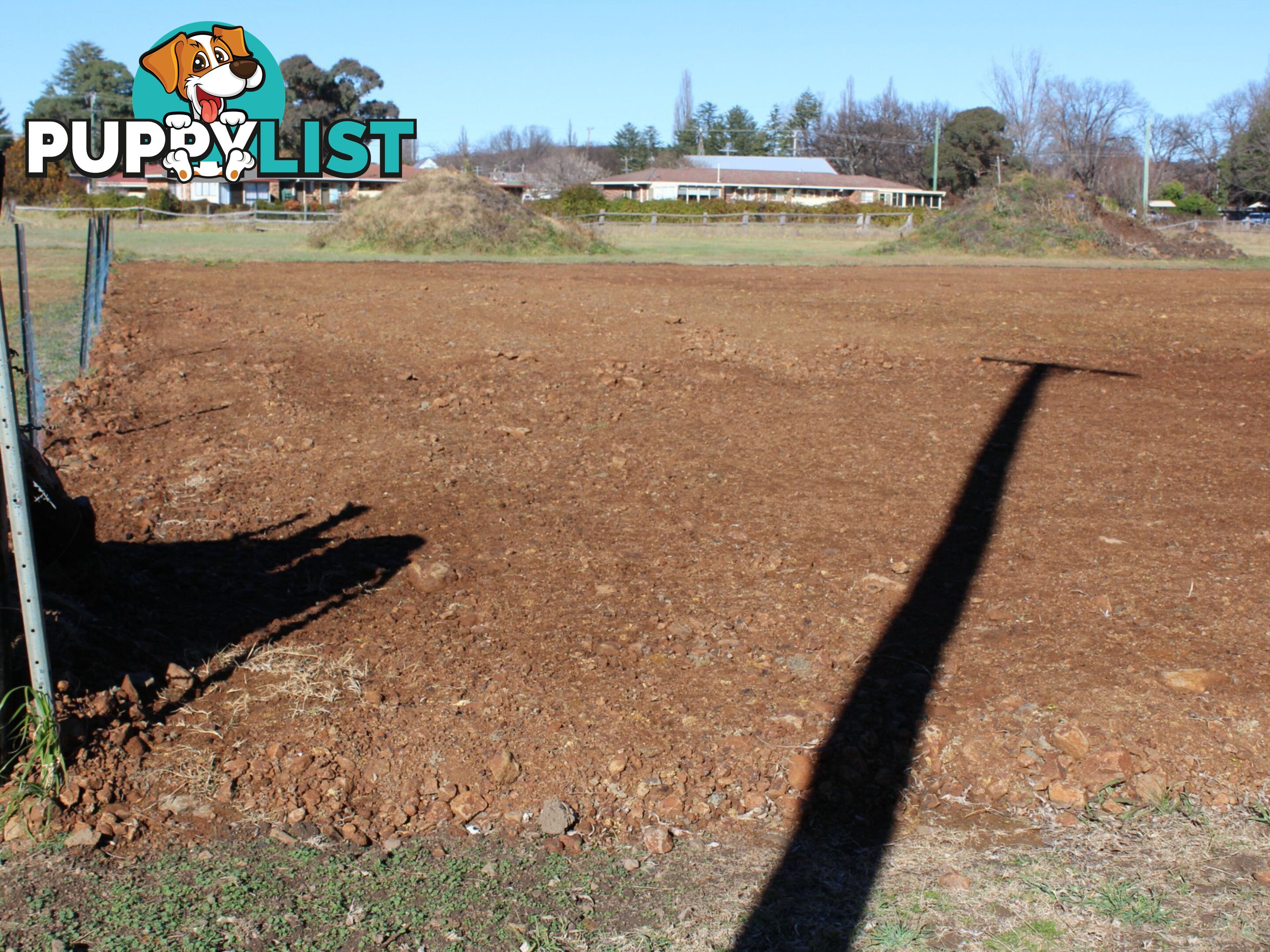 89 East Avenue GLEN INNES NSW 2370