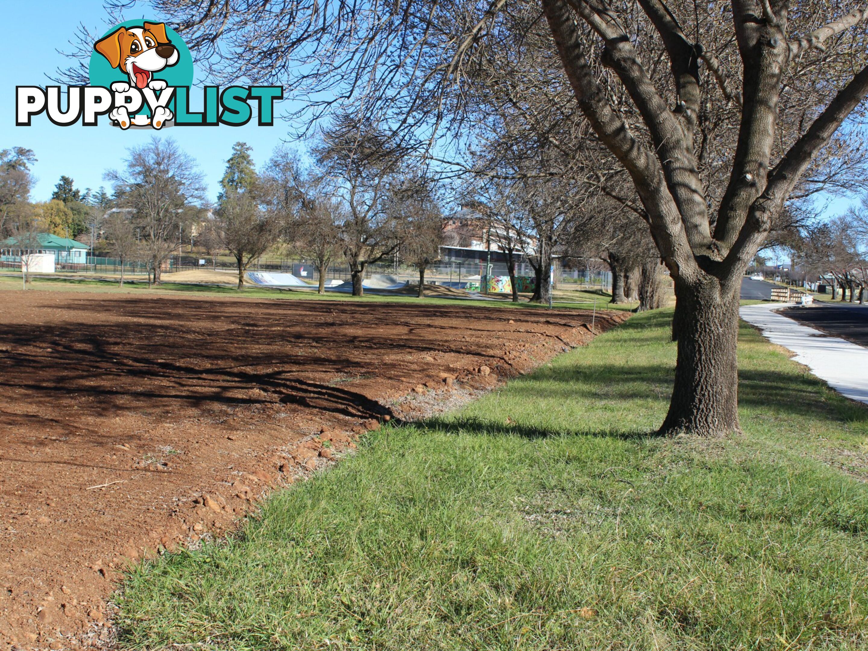 89 East Avenue GLEN INNES NSW 2370