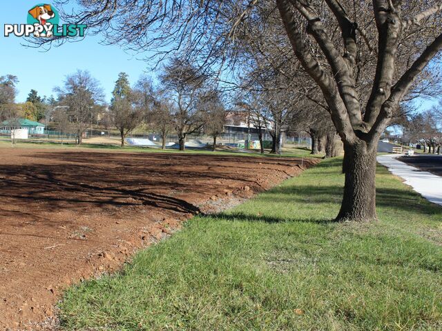 89 East Avenue GLEN INNES NSW 2370