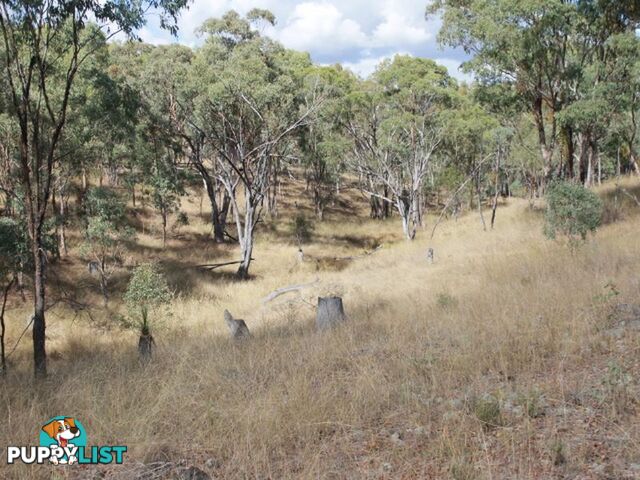 1392 Gulf  Road EMMAVILLE NSW 2371