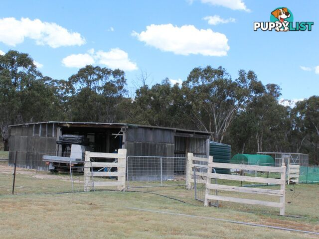 962 Polhill Road GLEN INNES NSW 2370