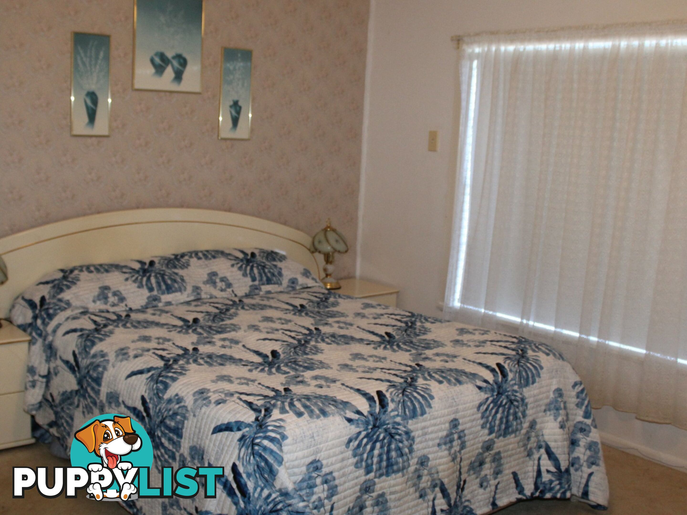 45 Cross Street GLEN INNES NSW 2370