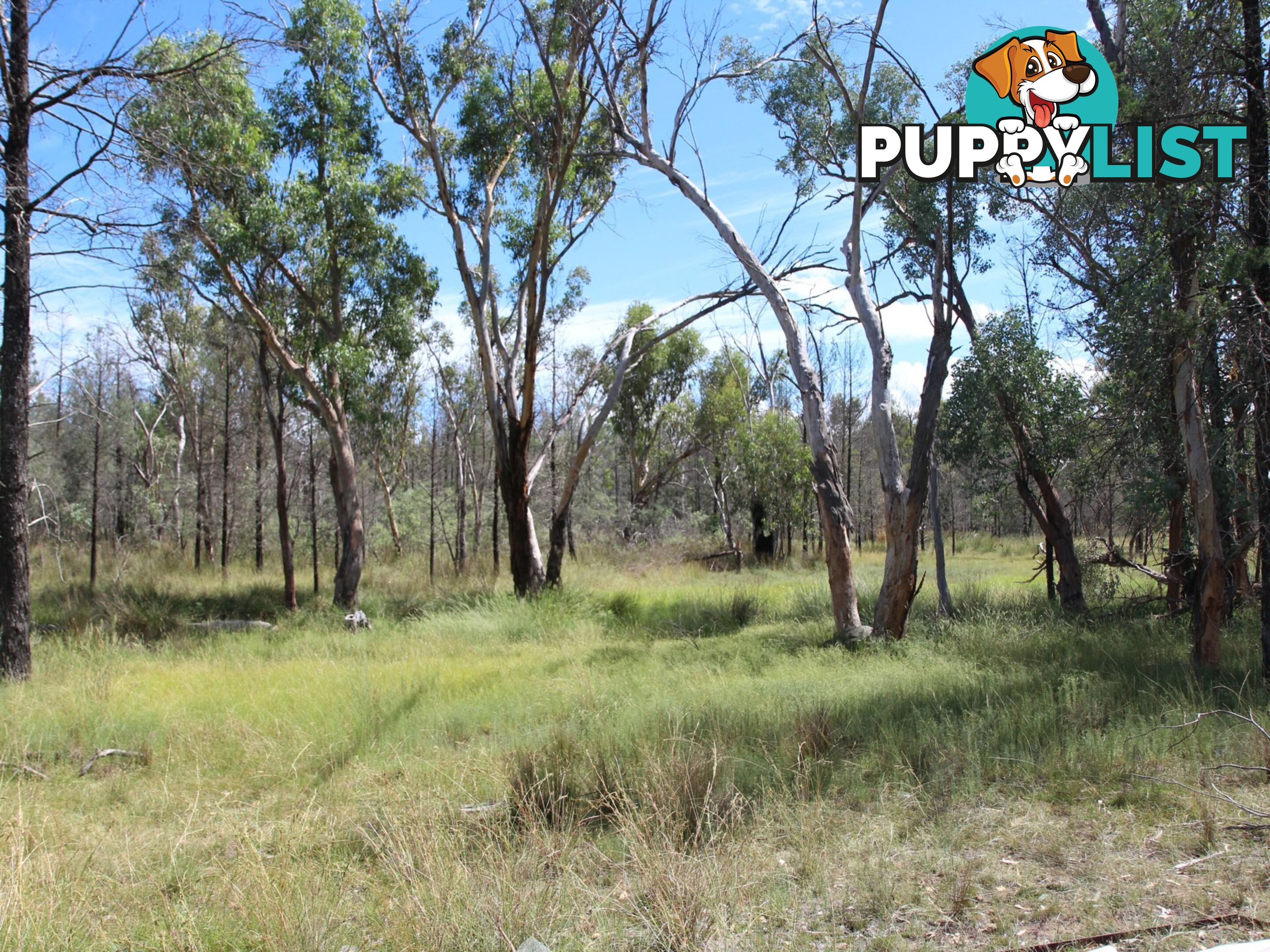 1094B Wallangra Road ASHFORD NSW 2361